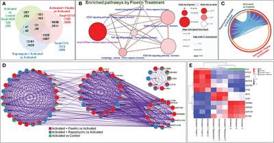 Dual targeting of mTOR/IL-17A and autophagy by fisetin alleviates psoriasis-like skin inflammation